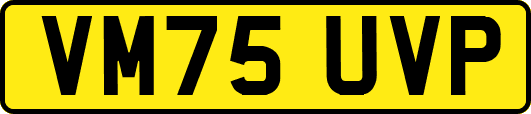 VM75UVP