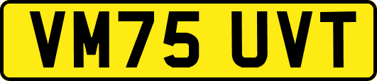 VM75UVT