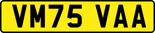 VM75VAA
