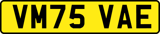 VM75VAE