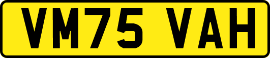 VM75VAH