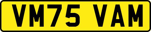 VM75VAM