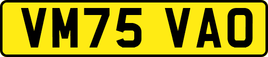 VM75VAO