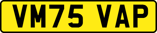 VM75VAP