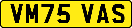 VM75VAS