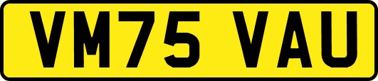 VM75VAU