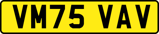 VM75VAV