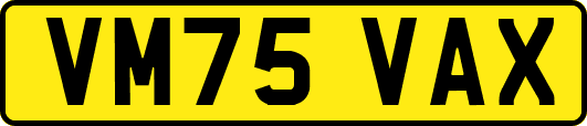 VM75VAX