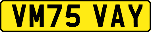 VM75VAY