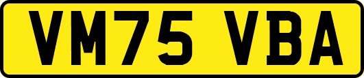 VM75VBA