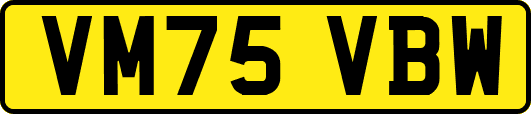 VM75VBW