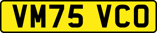 VM75VCO