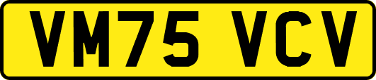 VM75VCV