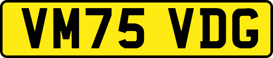 VM75VDG