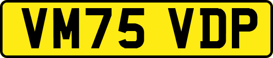 VM75VDP