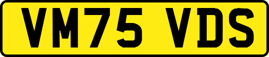 VM75VDS