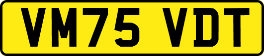 VM75VDT