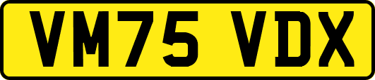 VM75VDX