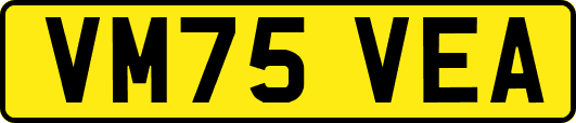 VM75VEA