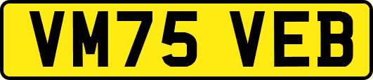 VM75VEB