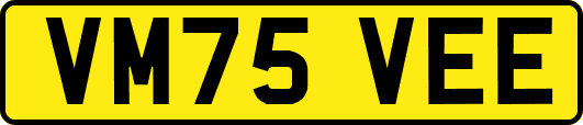 VM75VEE
