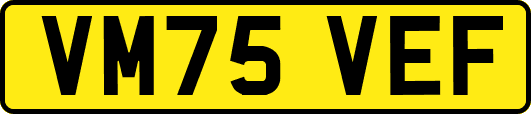 VM75VEF