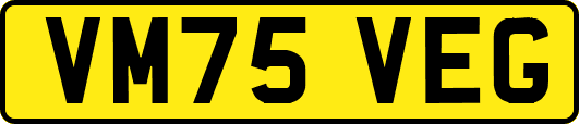 VM75VEG