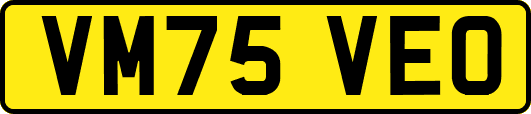 VM75VEO