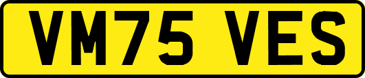 VM75VES