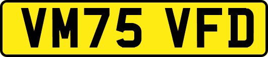 VM75VFD