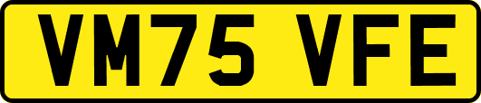 VM75VFE