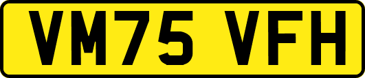 VM75VFH