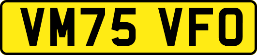 VM75VFO