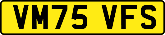 VM75VFS