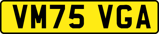 VM75VGA