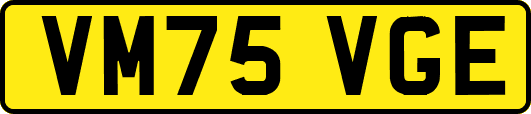 VM75VGE