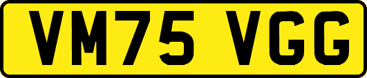 VM75VGG
