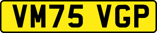 VM75VGP