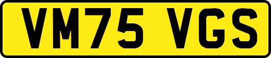 VM75VGS