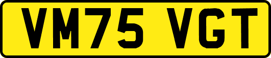 VM75VGT