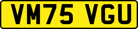 VM75VGU