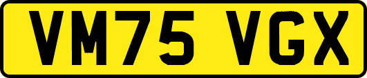 VM75VGX