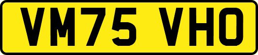 VM75VHO