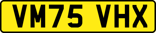 VM75VHX