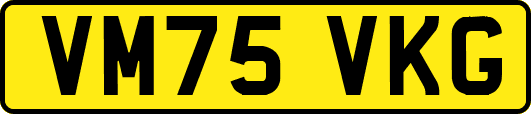 VM75VKG