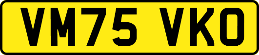 VM75VKO