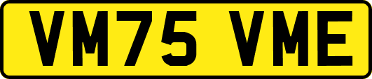 VM75VME