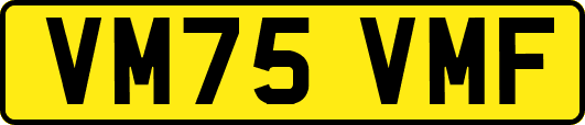 VM75VMF