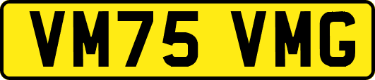 VM75VMG
