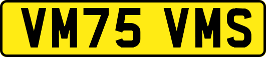 VM75VMS